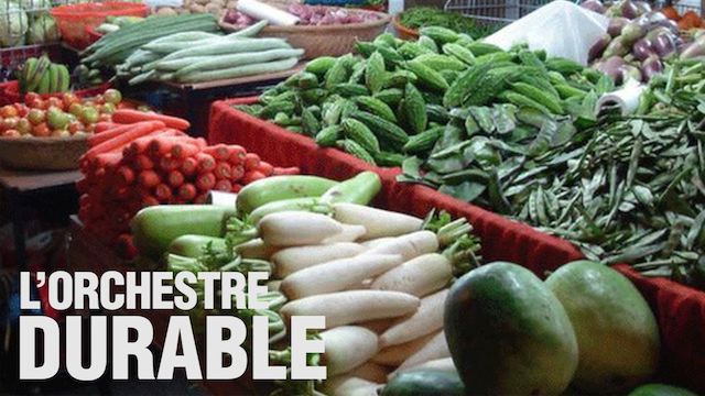 vignette_OrchestreDurable-